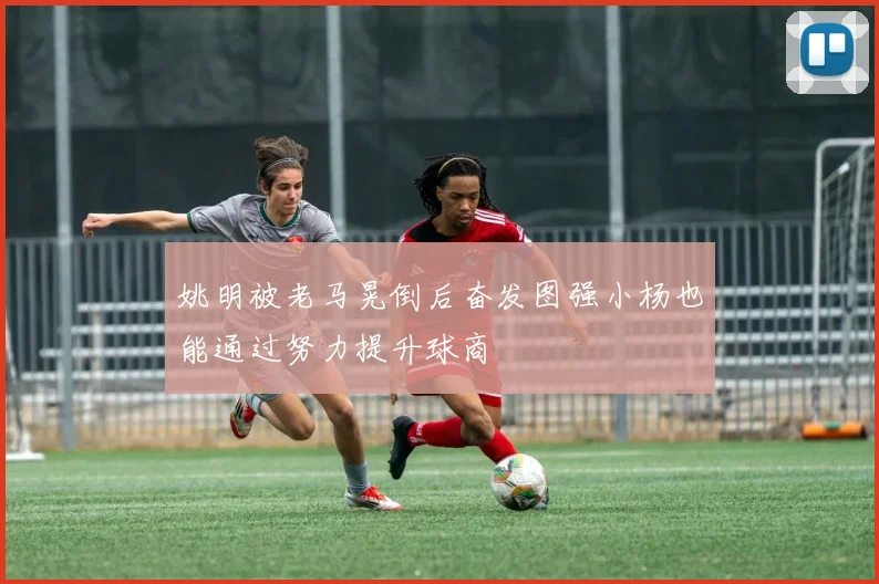 姚明被老马晃倒后奋发图强小杨也能通过努力提升球商